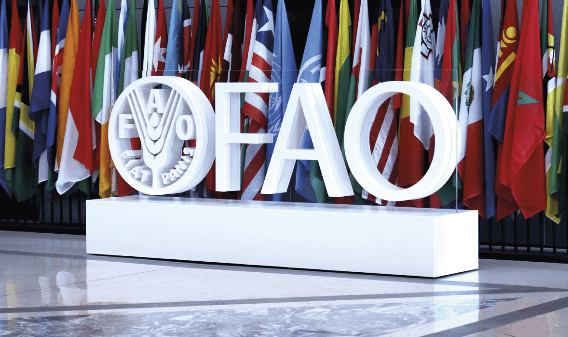 Photo of the FAO sign against the country flags